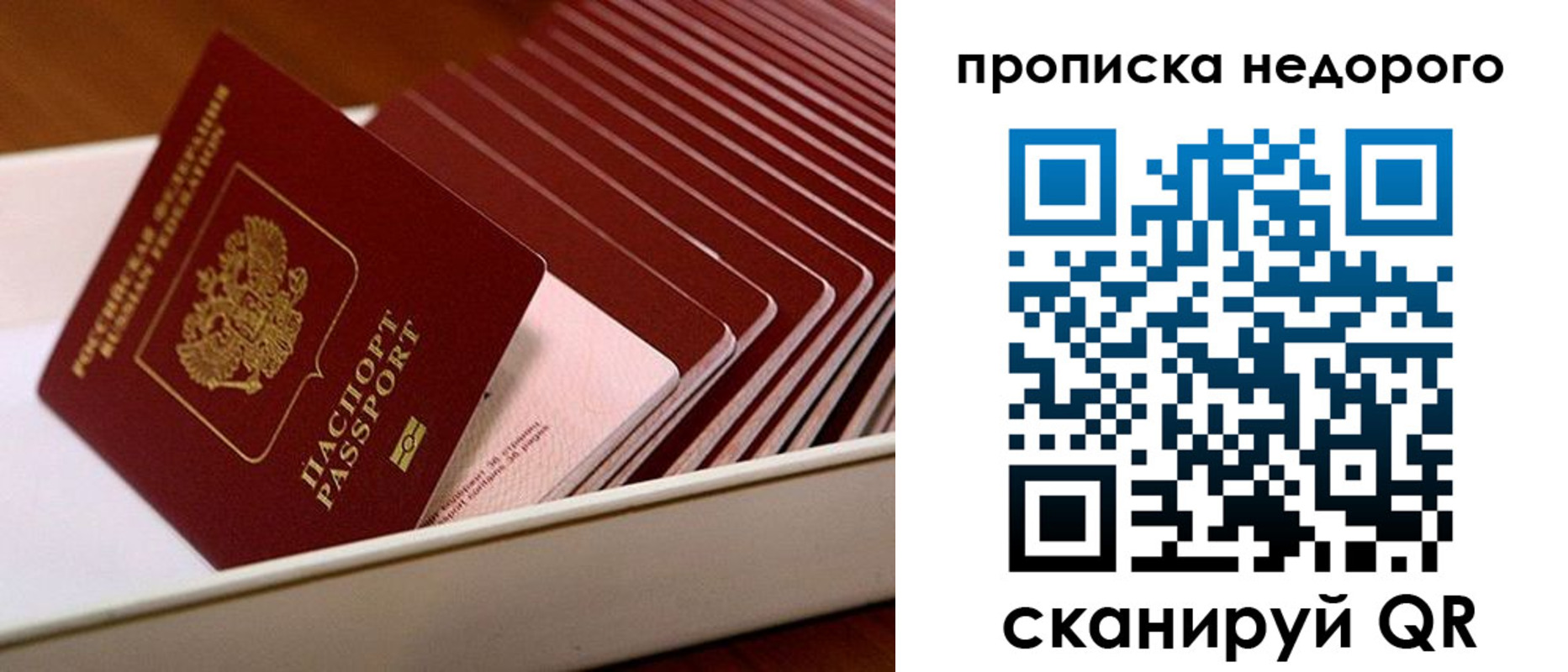 прописка паспорт в Ясногорске